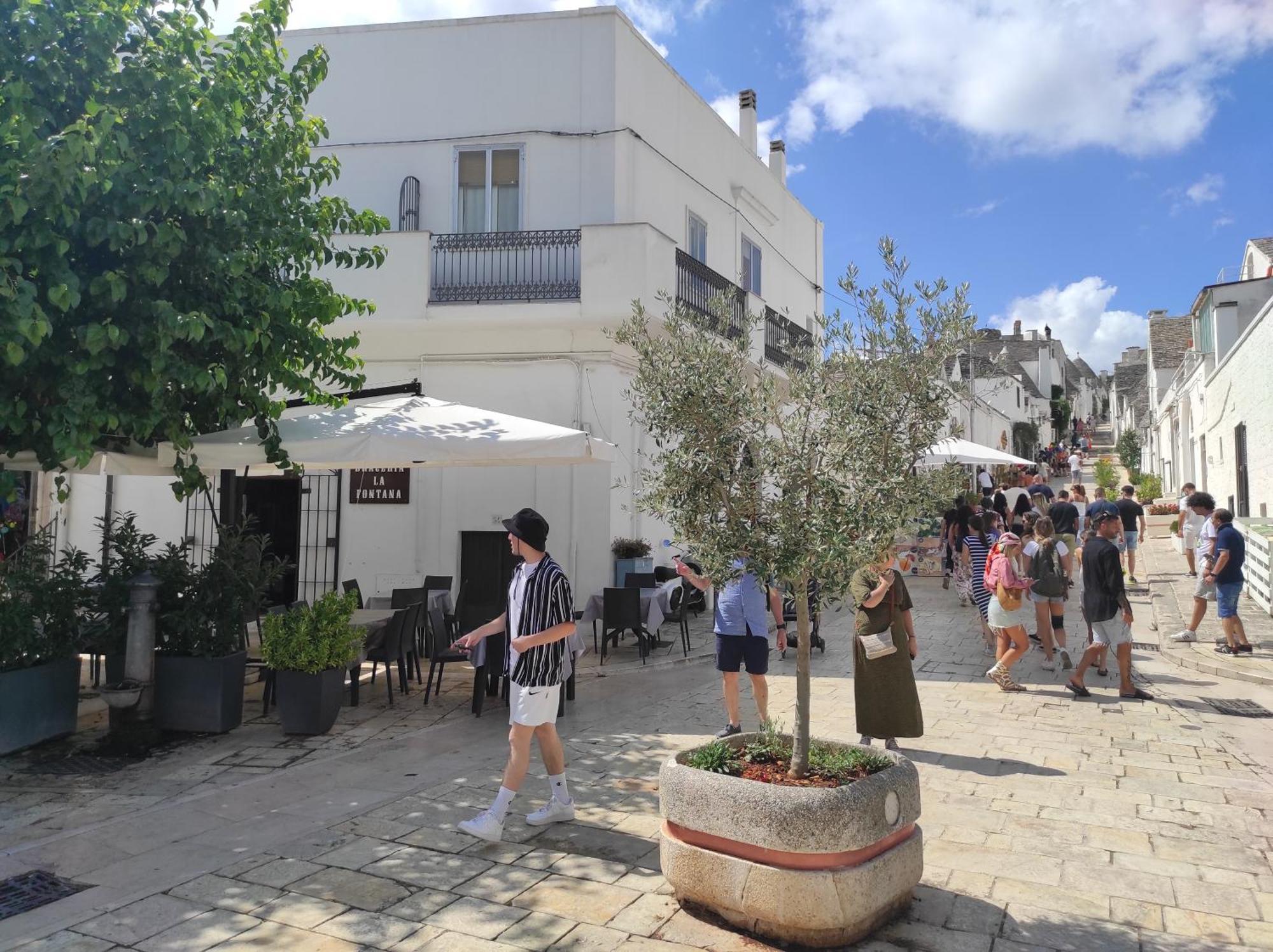 Nou La Tua Casa In Puglia Apartment Алберобело Екстериор снимка